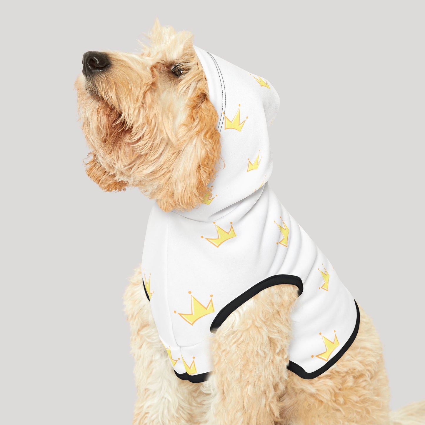 Pet Hoodie