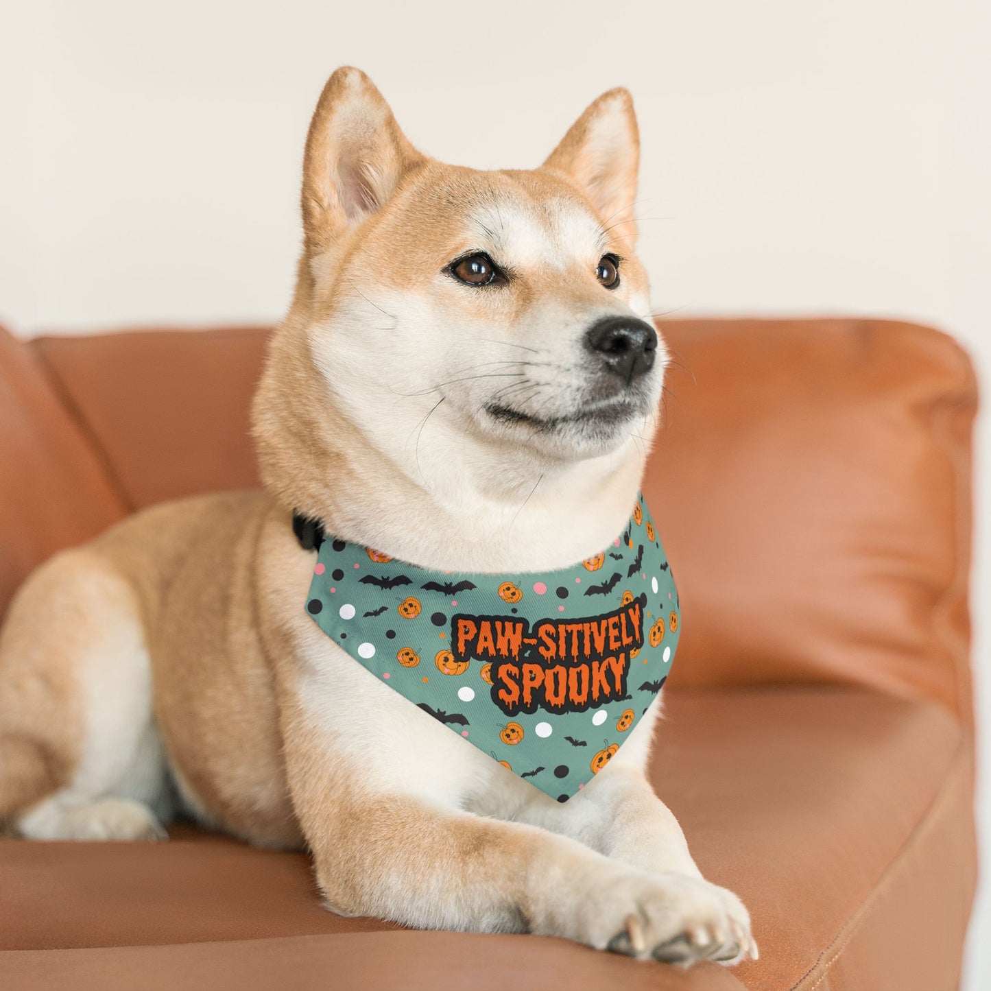 Pawsitively Spooky Bandana Collar