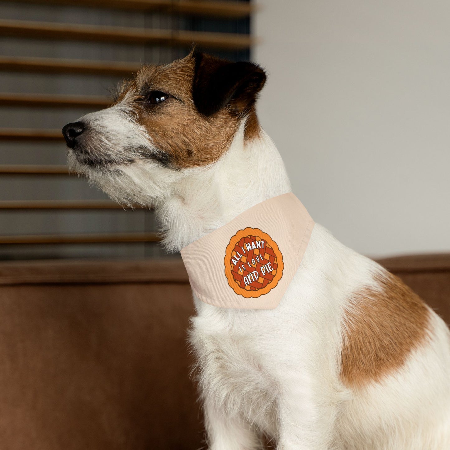 Love And Pie Bandana Collar
