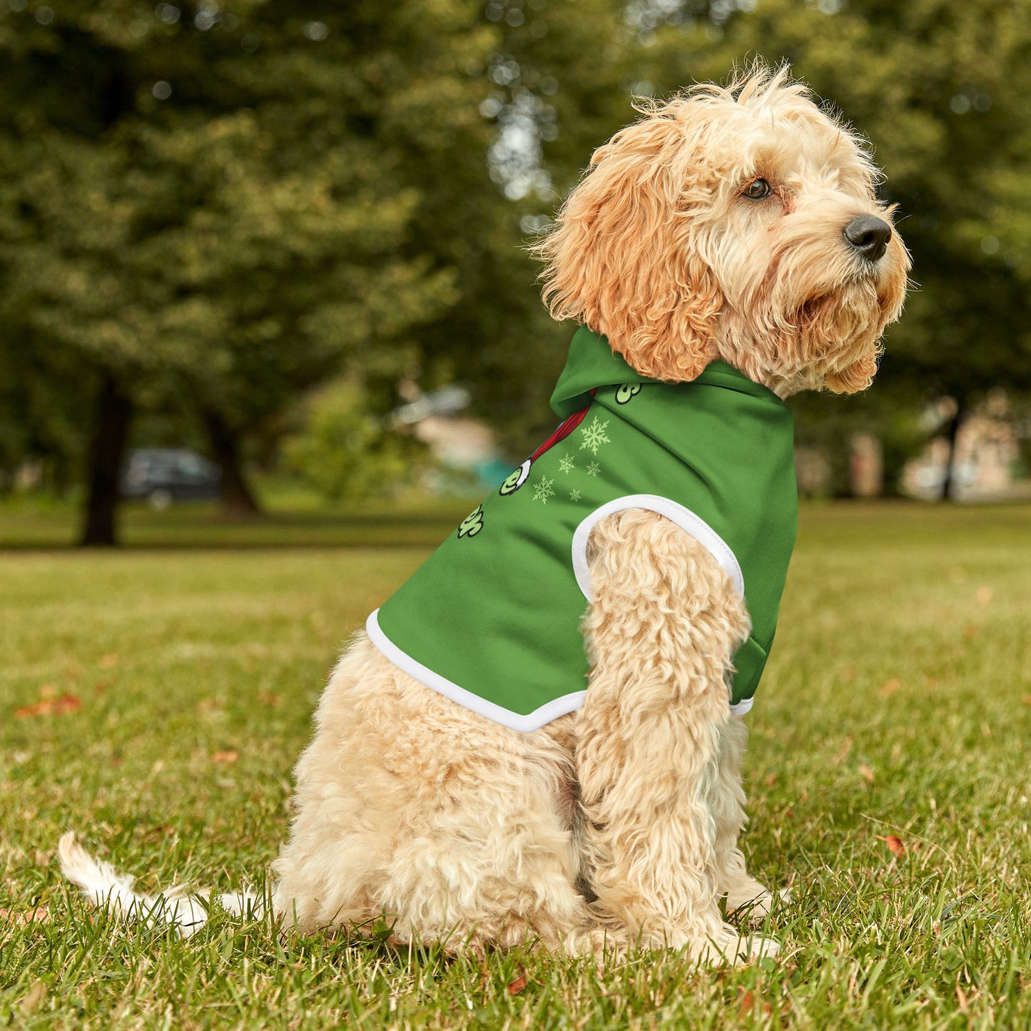 Santa's Little Helper Hoodie
