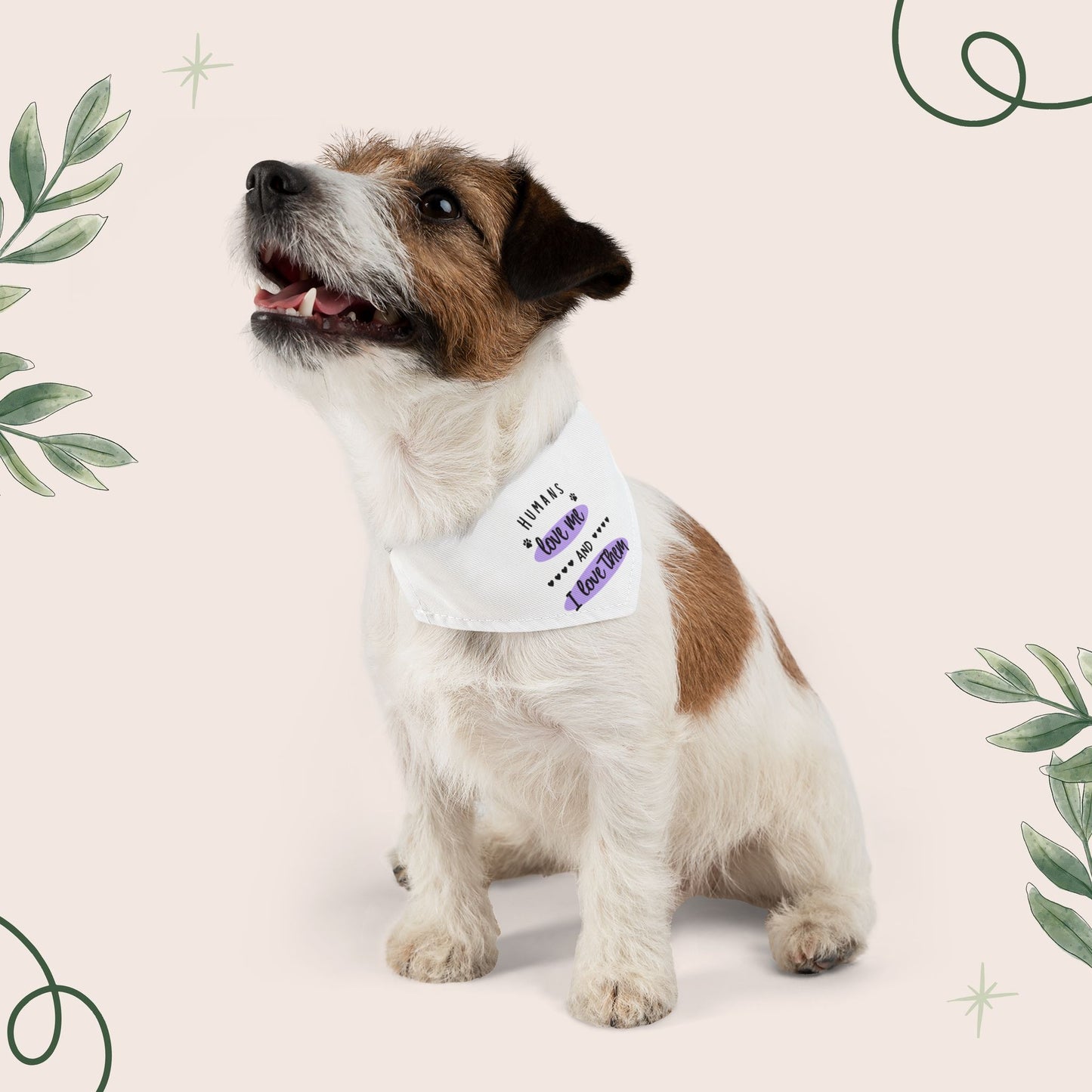 Human Love Bandana Collar