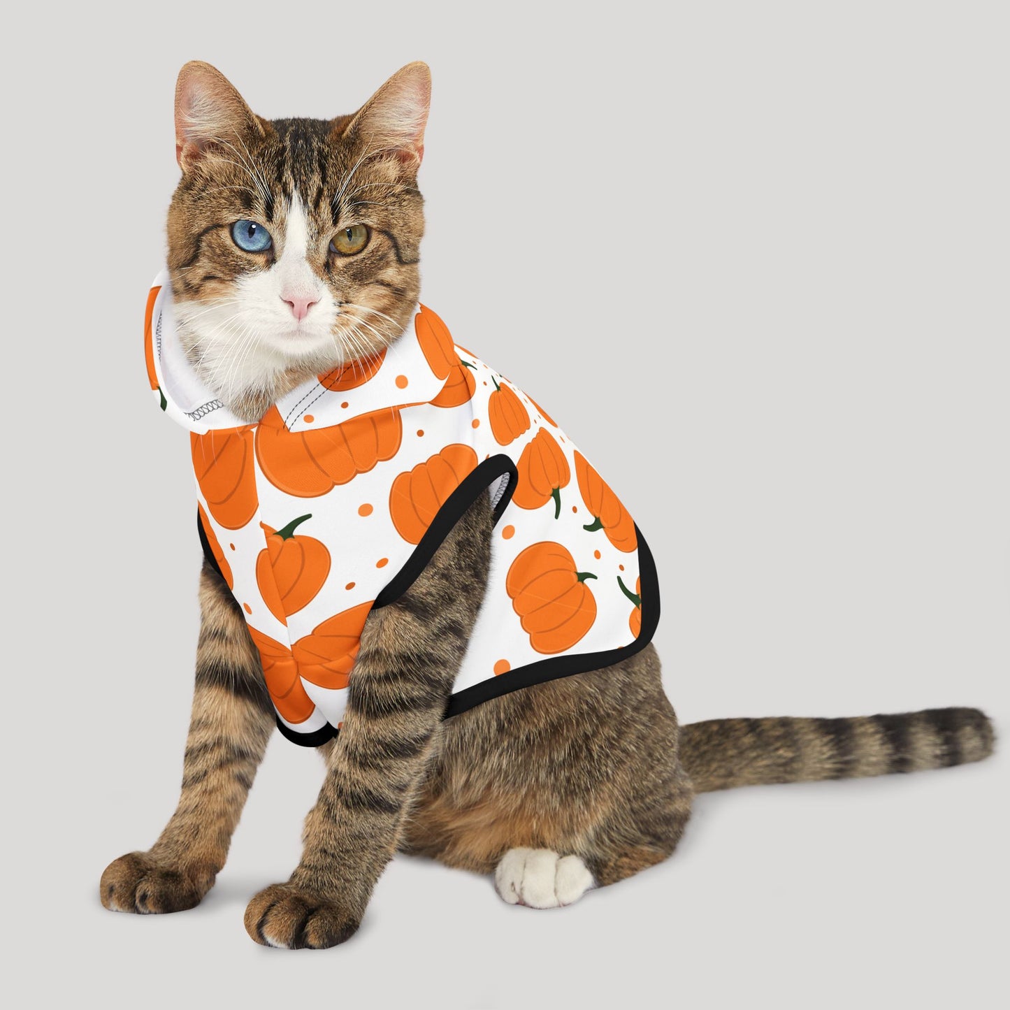 Pumpkin Pet Hoodie