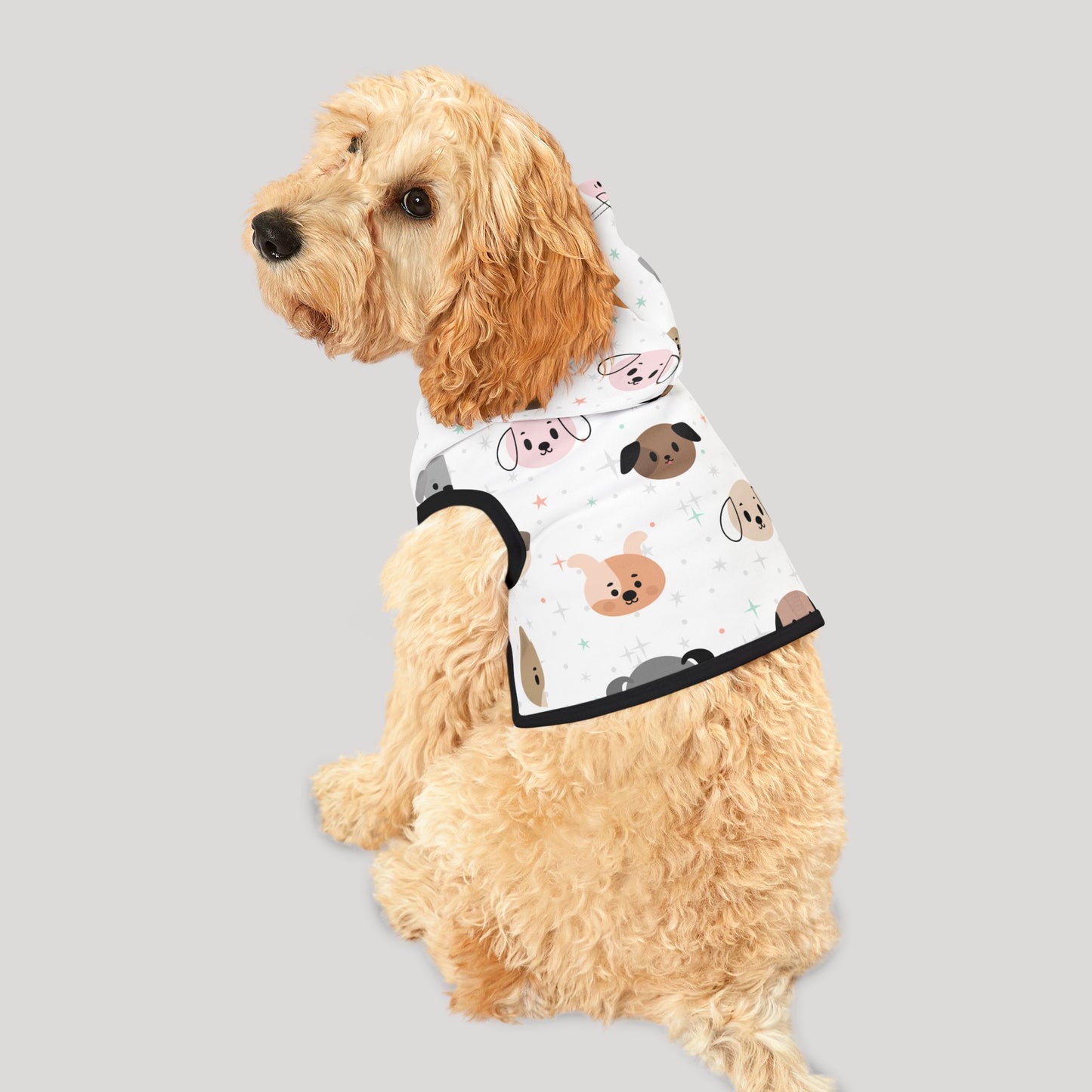 Pet Hoodie
