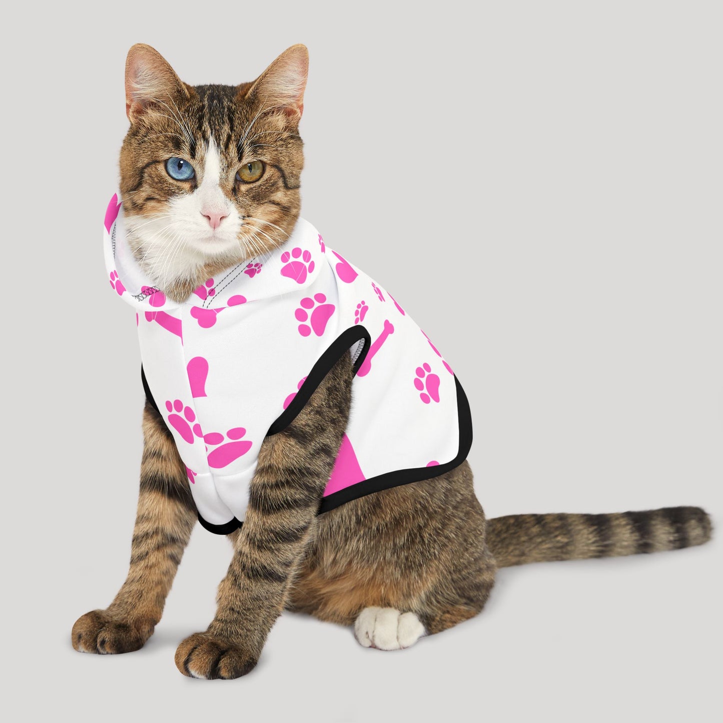 Pet Hoodie