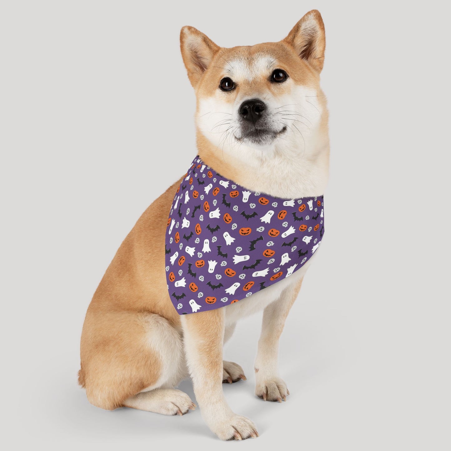 Halloween Pet Bandana Collar