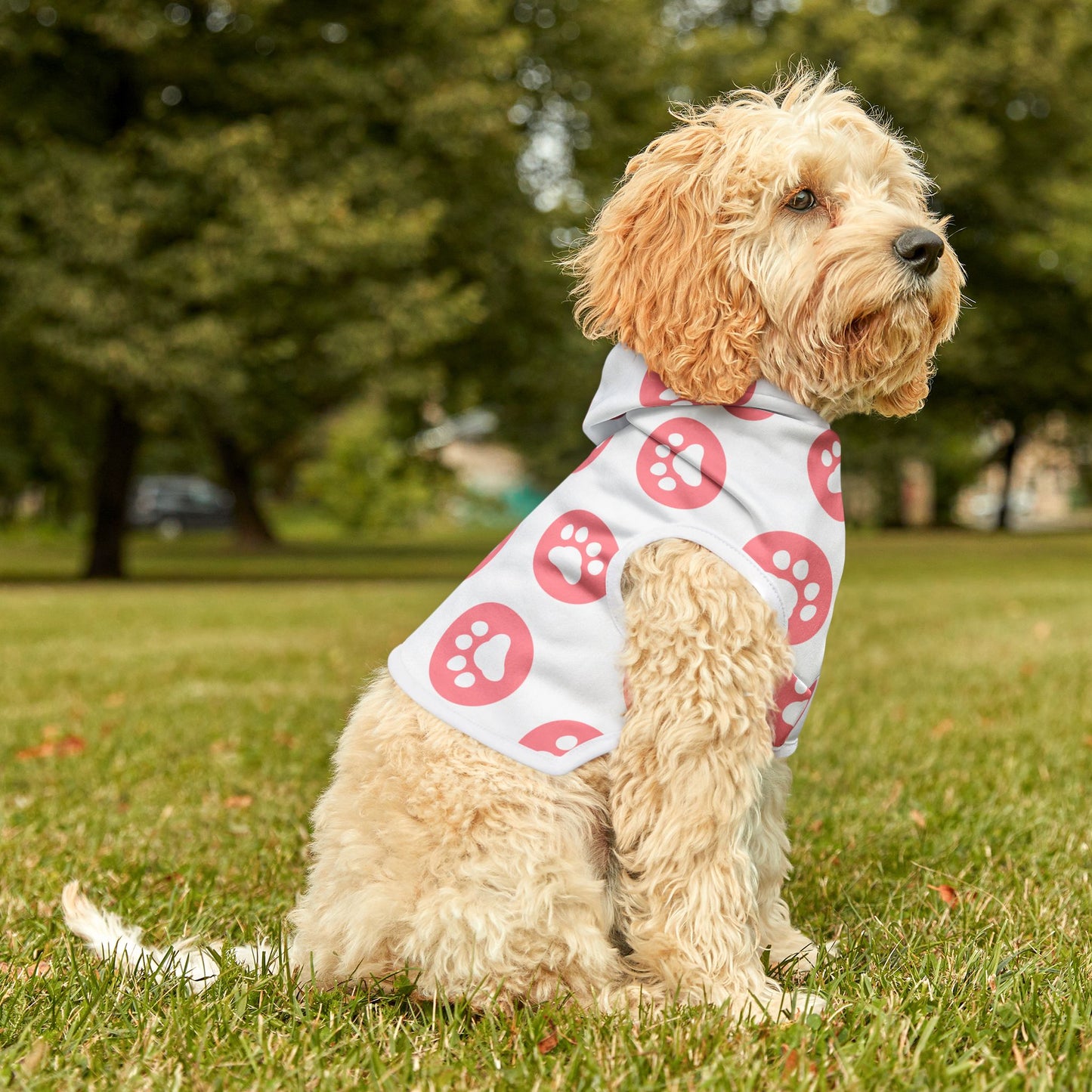 Paws Hoodie