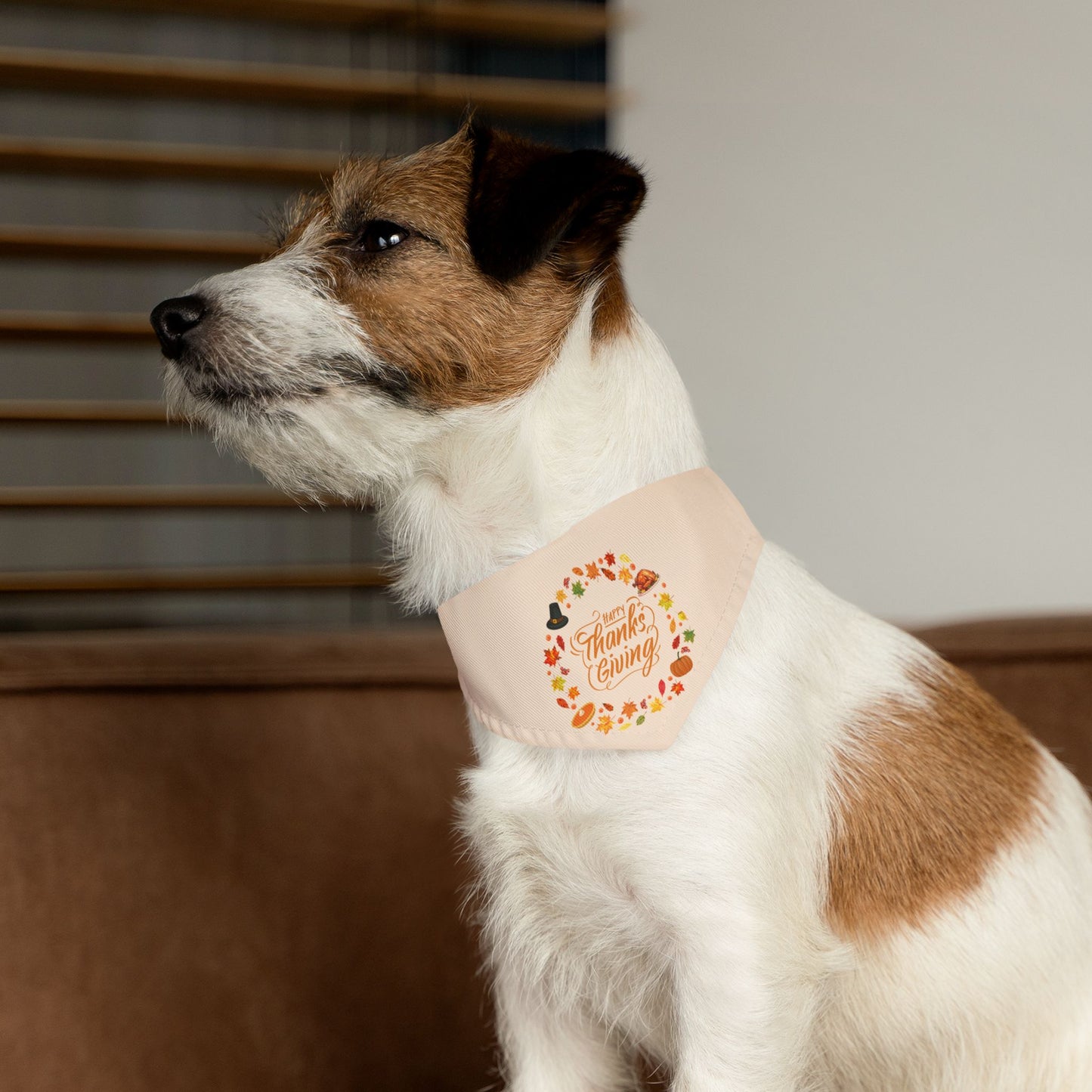 Happy Thanksgiving Bandana Collar