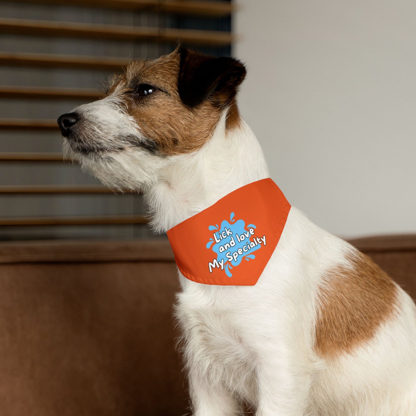 Lick And Love Bandana Collar