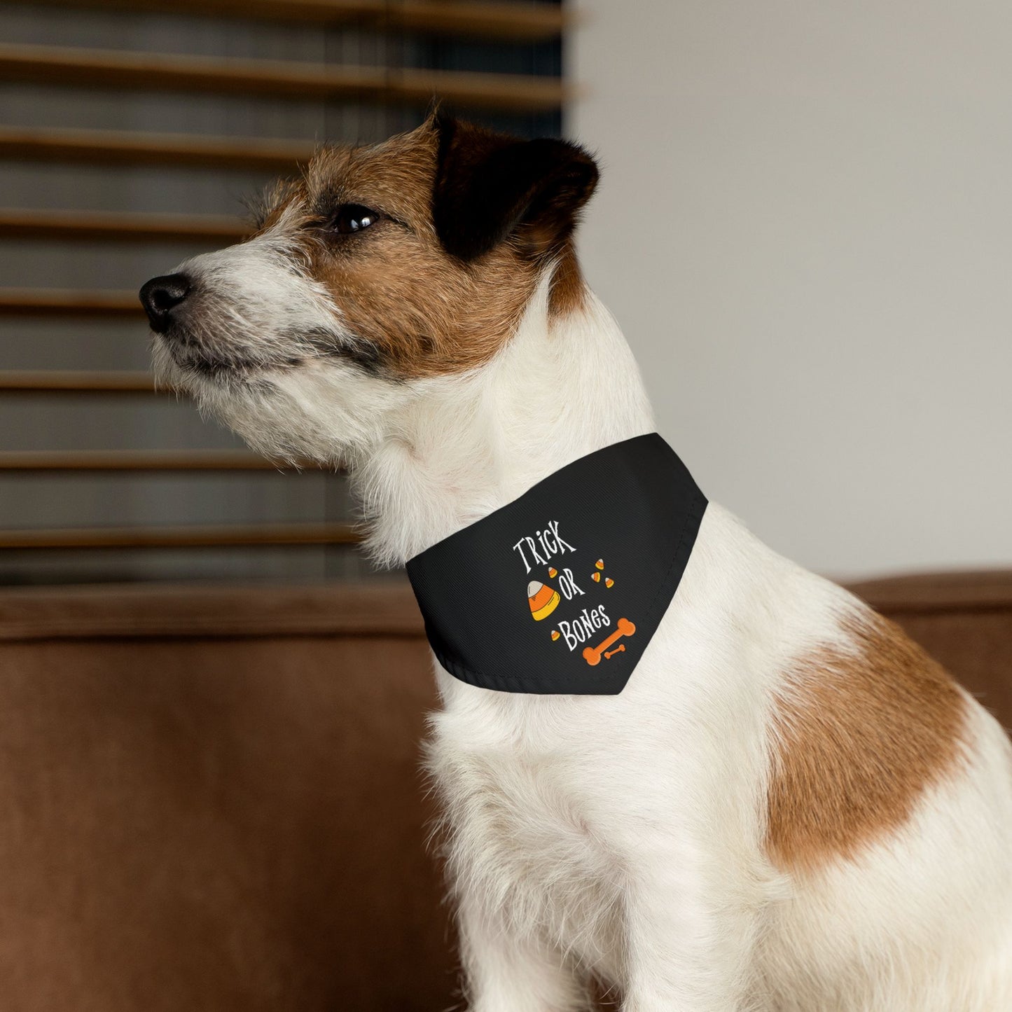 Halloween Bones Pet Bandana Collar