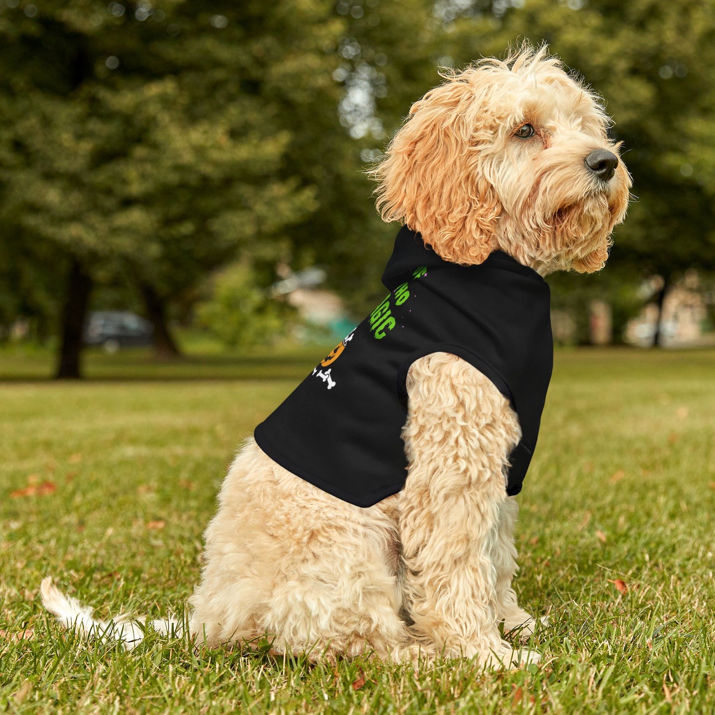 Pet Magic Hoodie