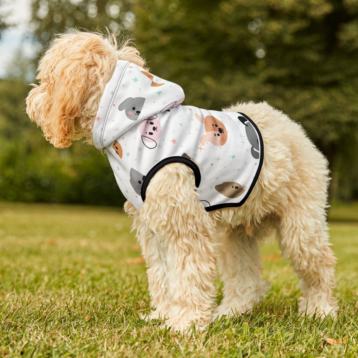 Pet Hoodie