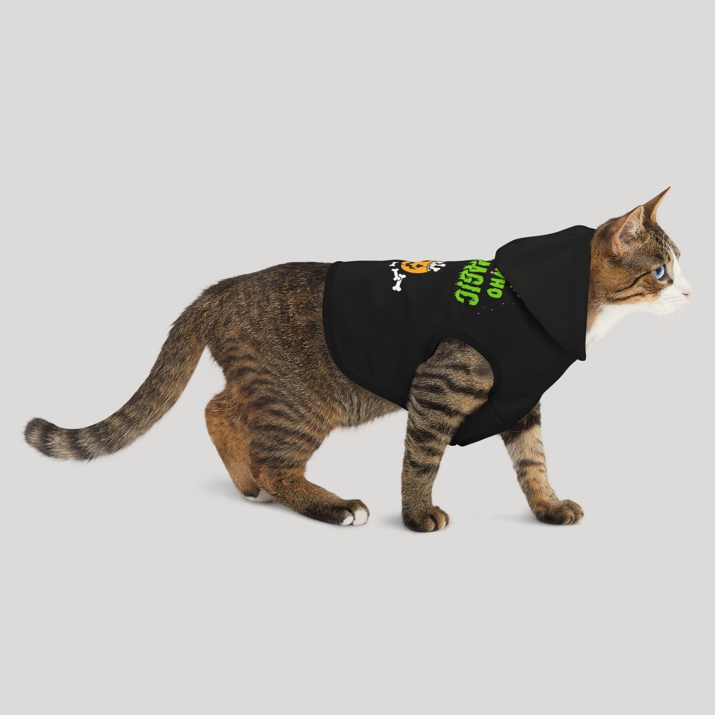 Pet Magic Hoodie