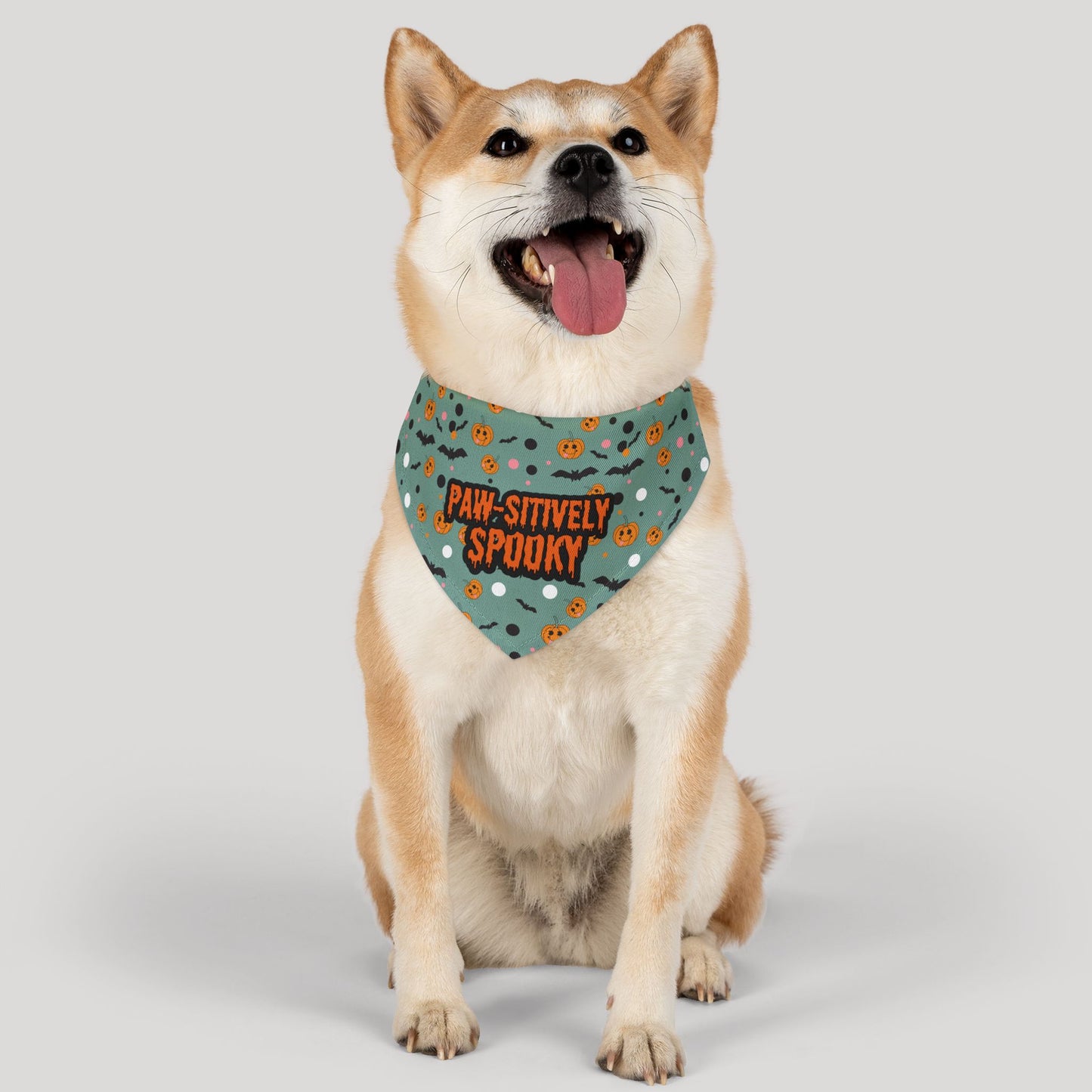 Pawsitively Spooky Bandana Collar
