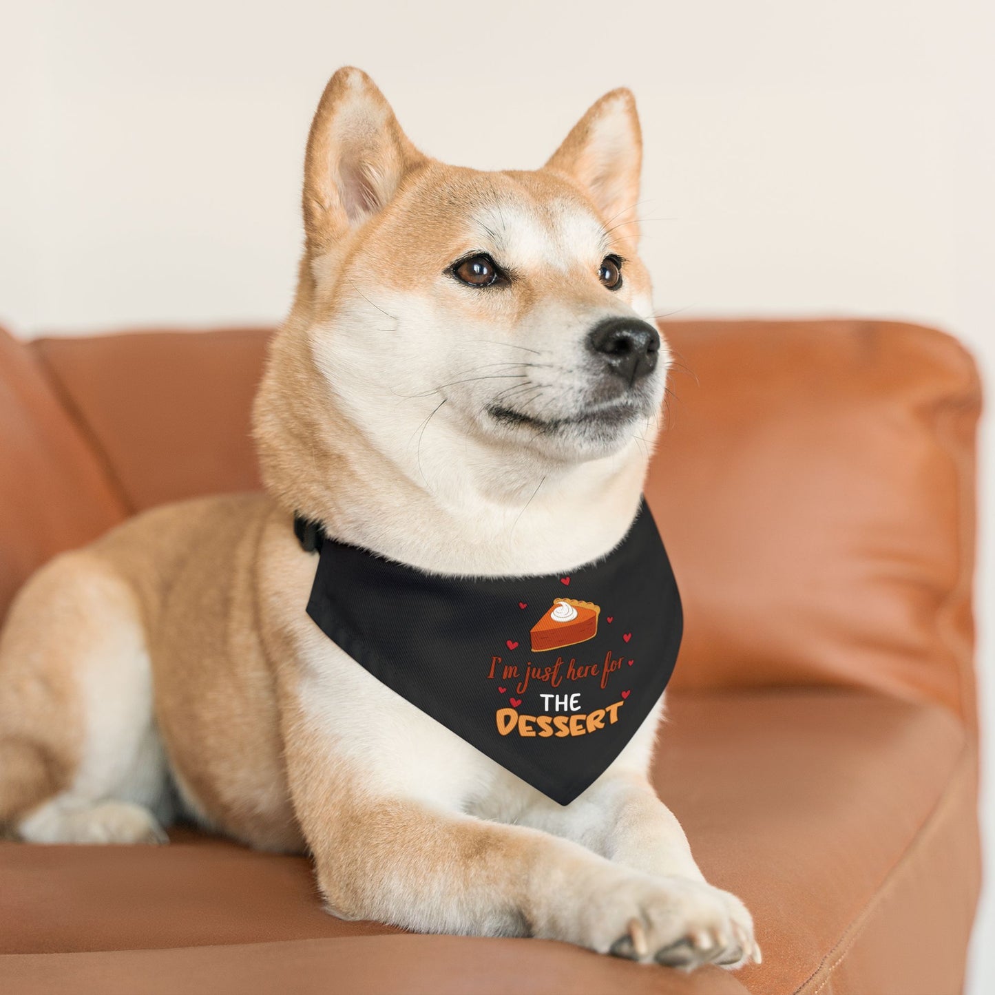 I'm Just Here For The Dessert Pet Bandana Collar