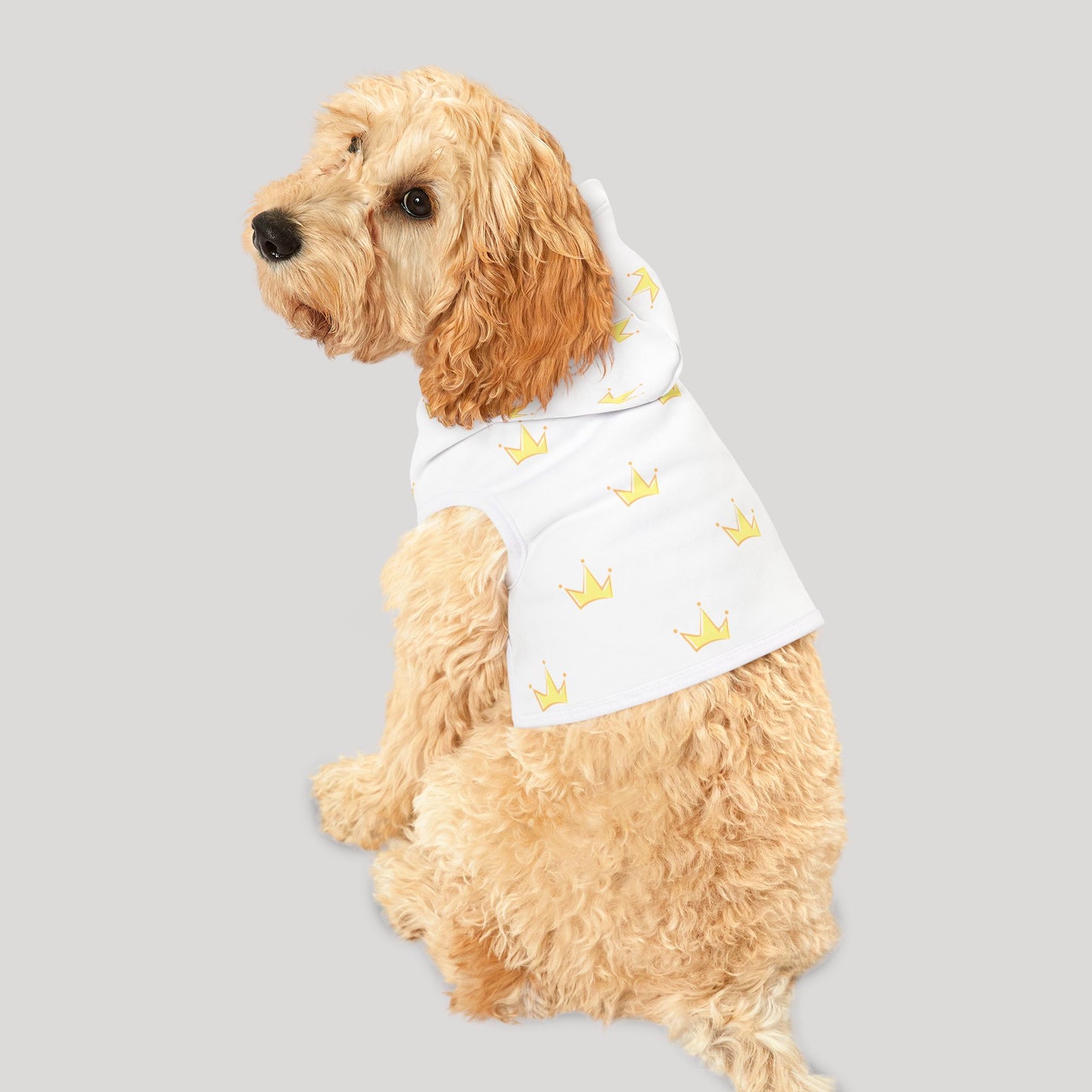 Pet Hoodie