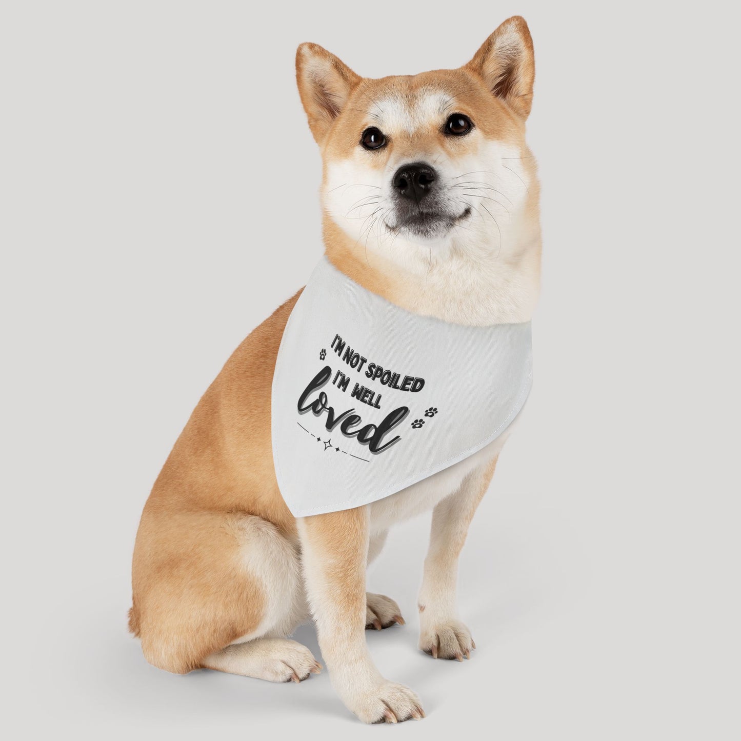 Pet Bandana Collar