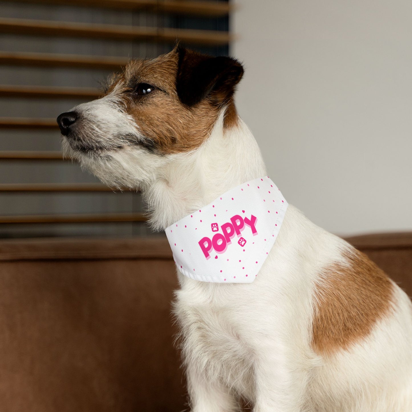 Personalized Pet Bandana Collar