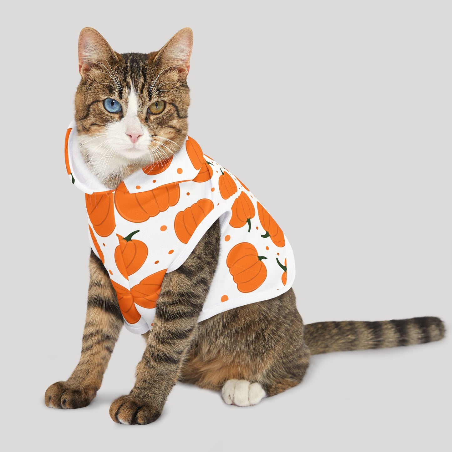 Pumpkin Pet Hoodie