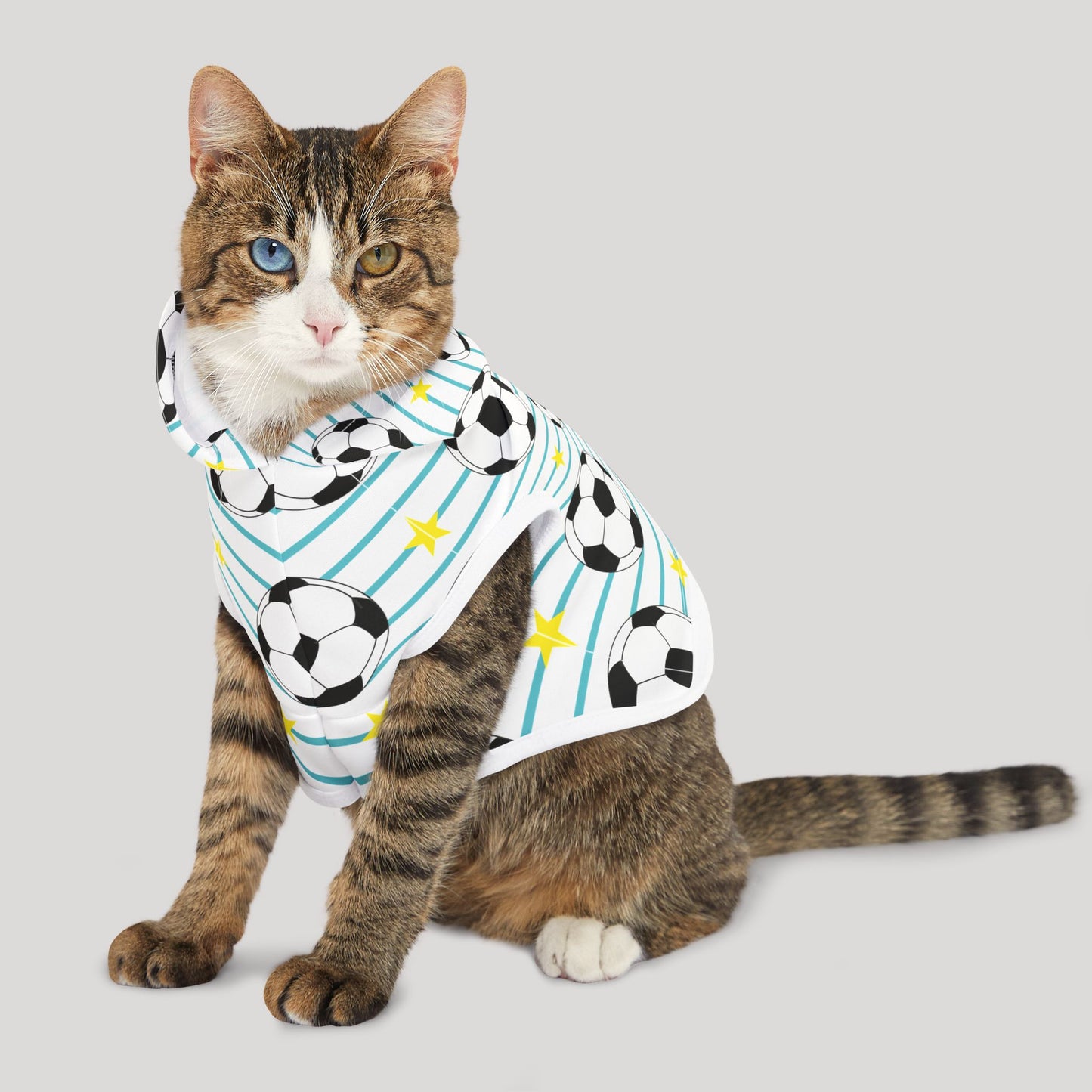Pet Hoodie
