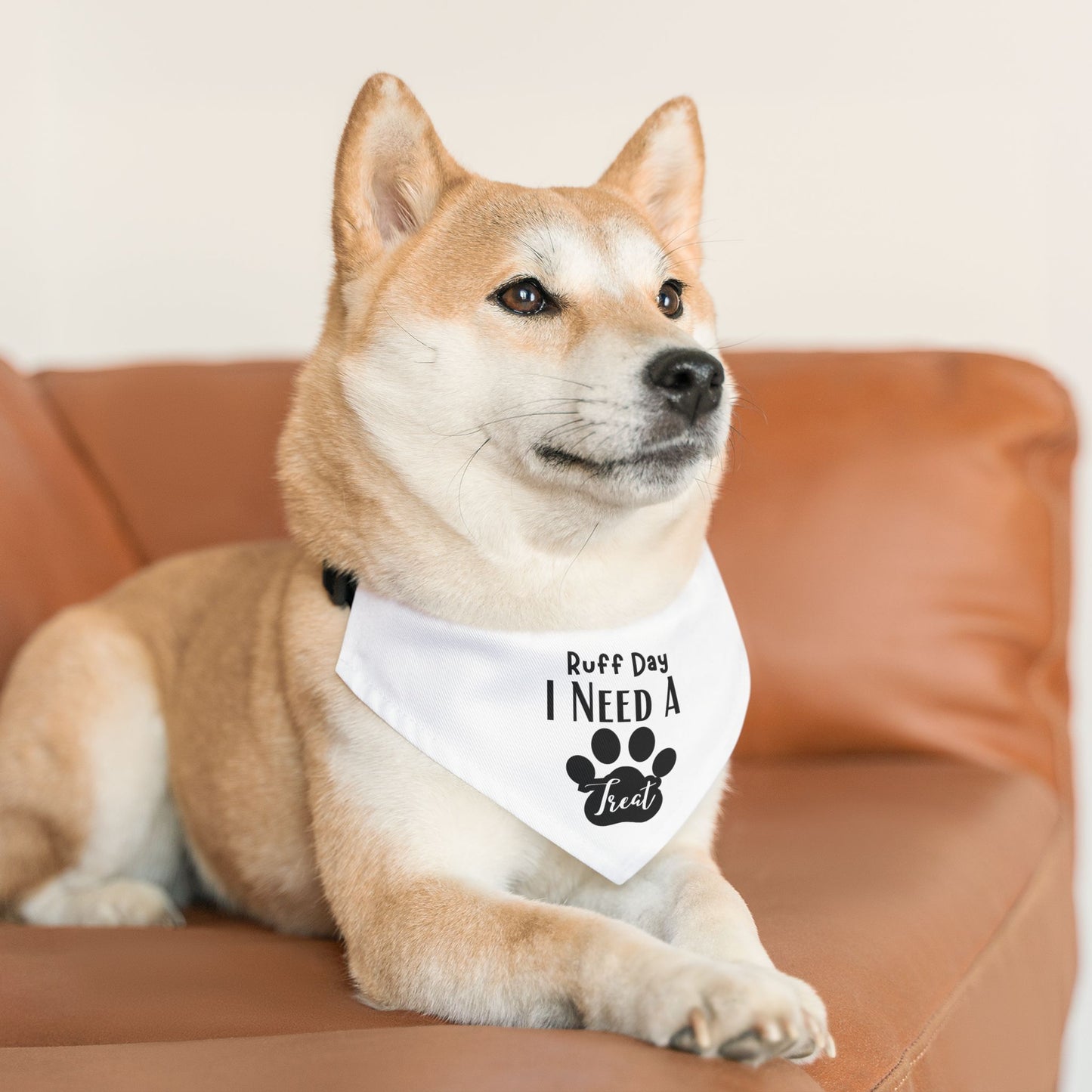 Pet Bandana Collar