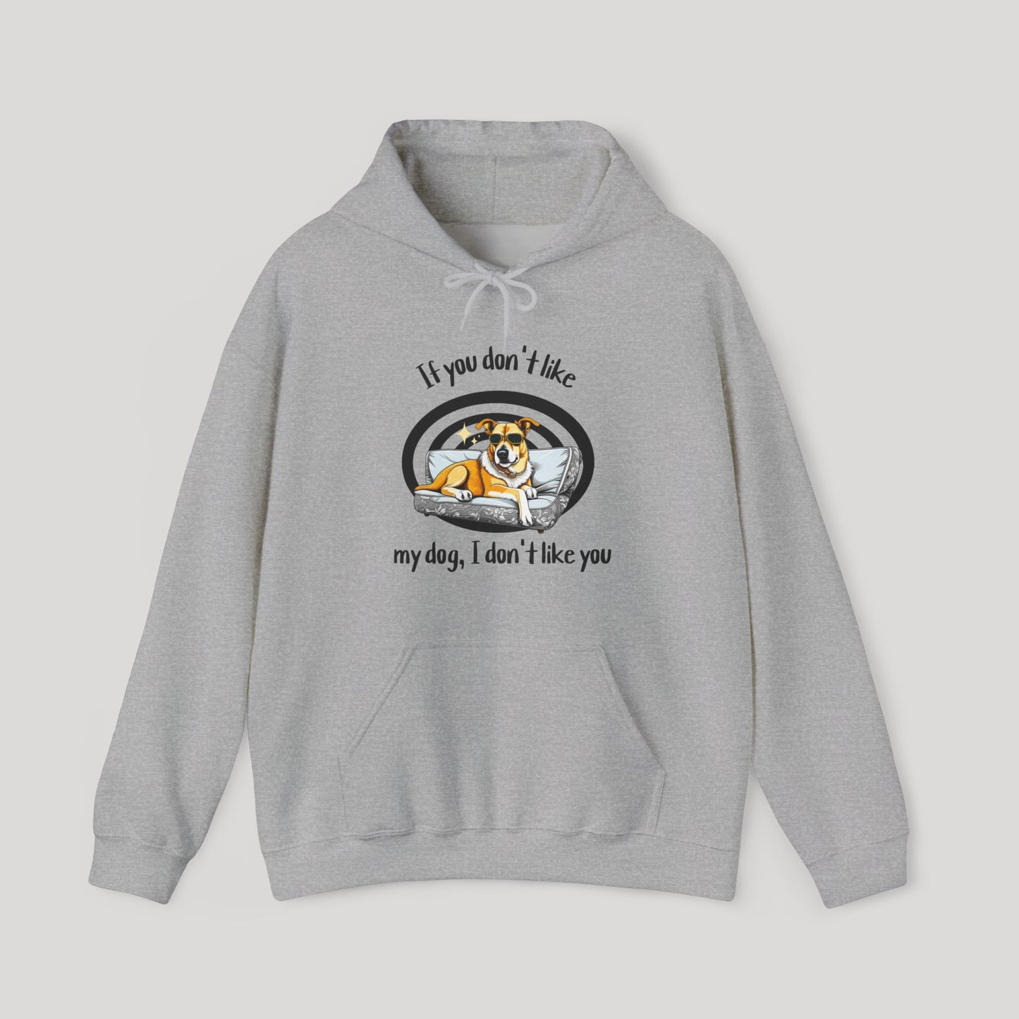 I Don't Like You Hoodie
