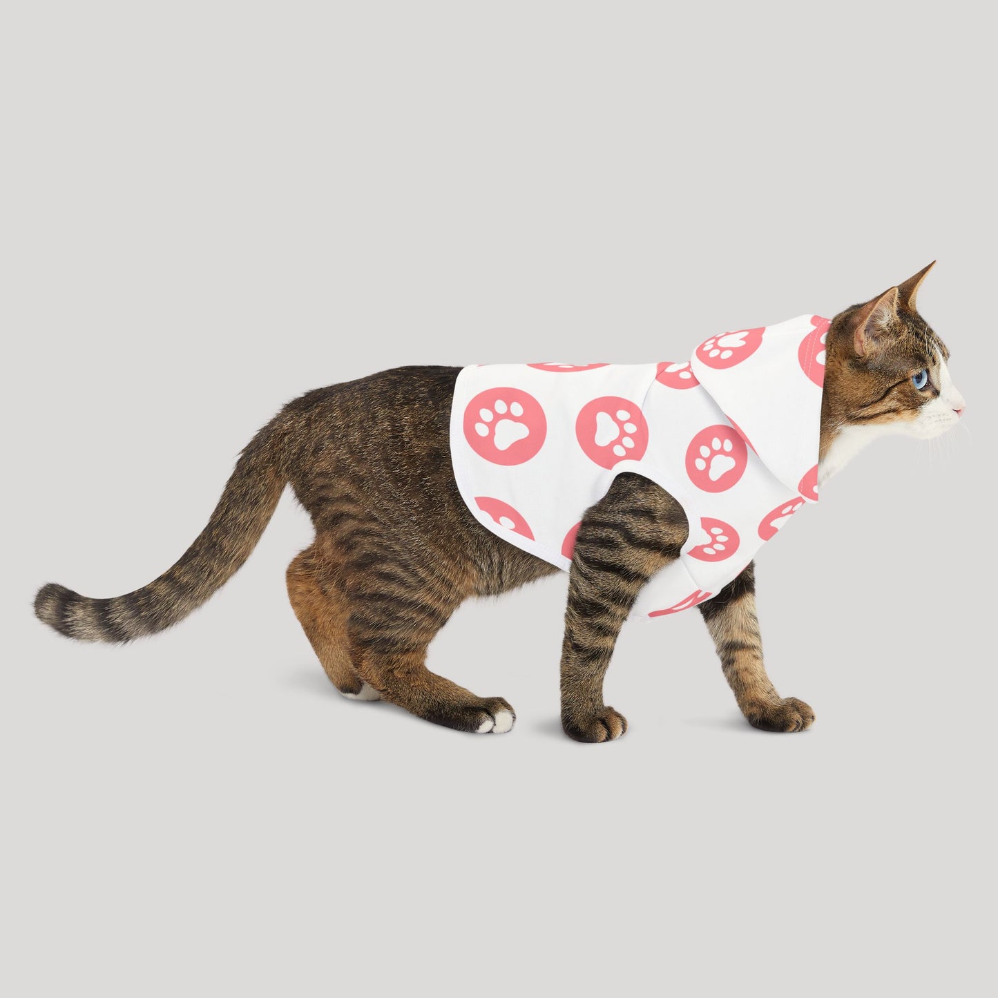Paws Hoodie