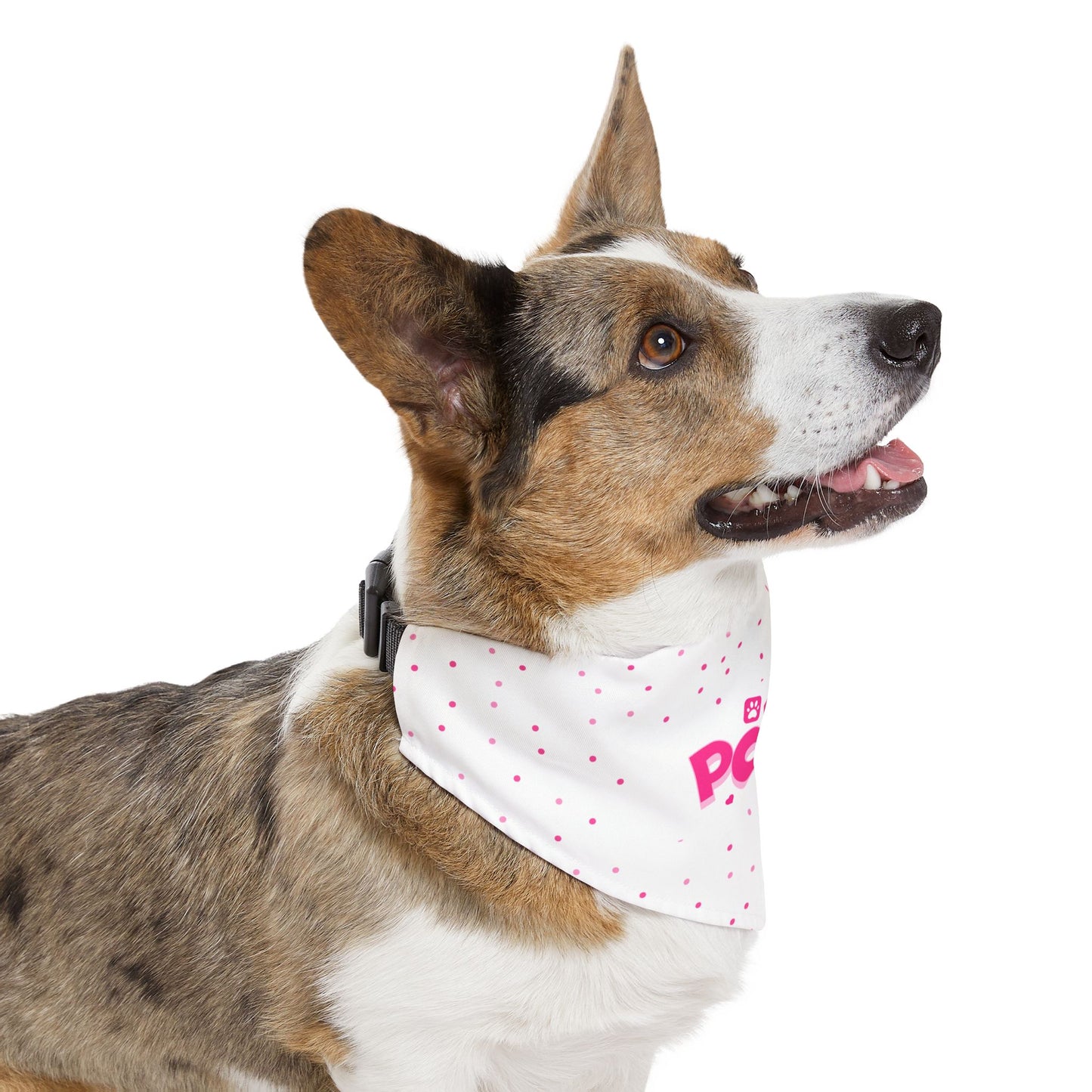 Personalized Pet Bandana Collar