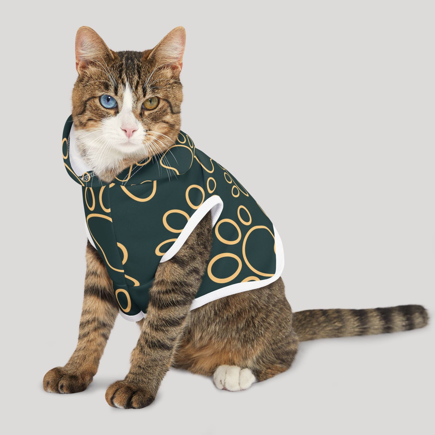 Pet Hoodie