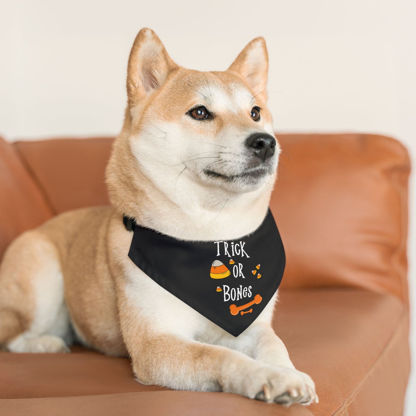 Halloween Bones Pet Bandana Collar
