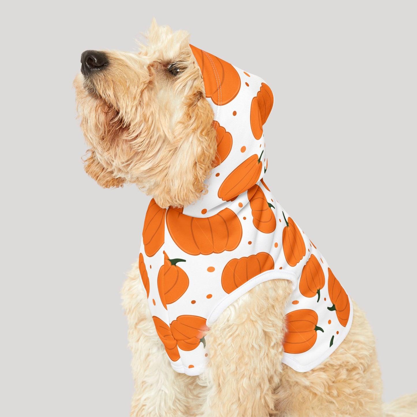 Pumpkin Pet Hoodie