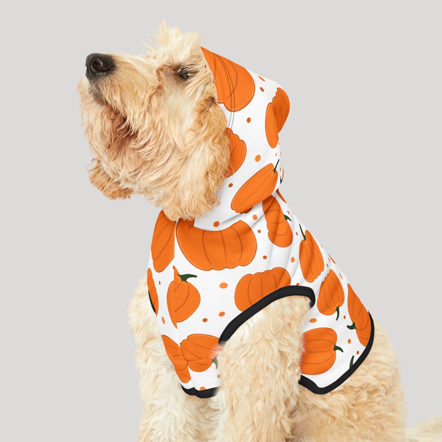 Pumpkin Pet Hoodie