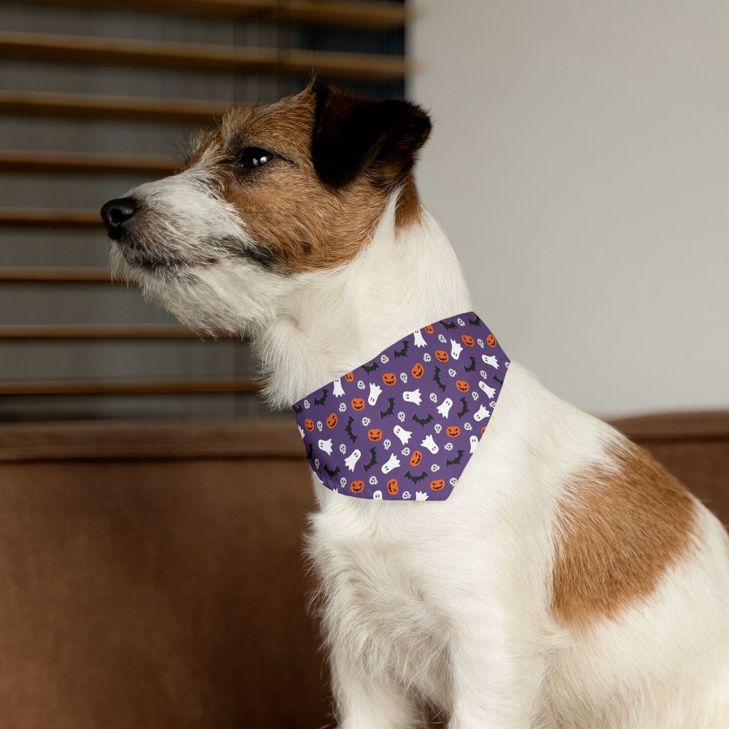 Halloween Pet Bandana Collar