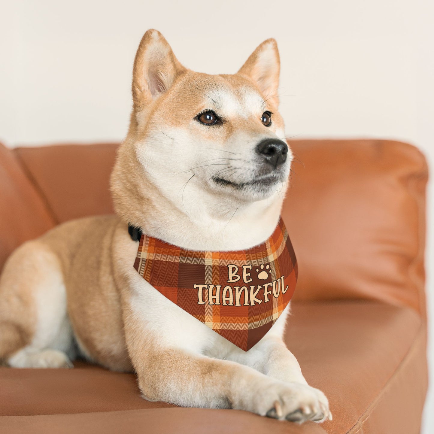 Thankful Bandana Collar
