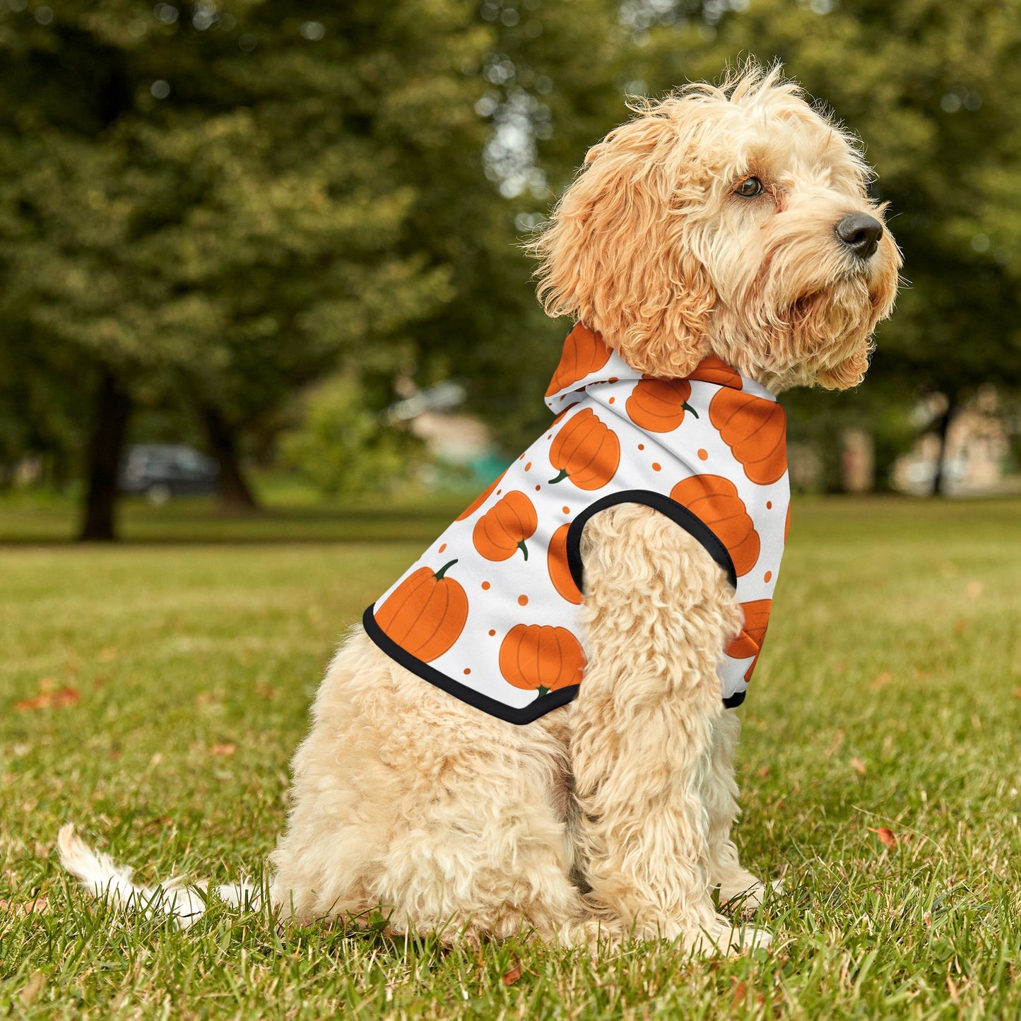Pumpkin Pet Hoodie
