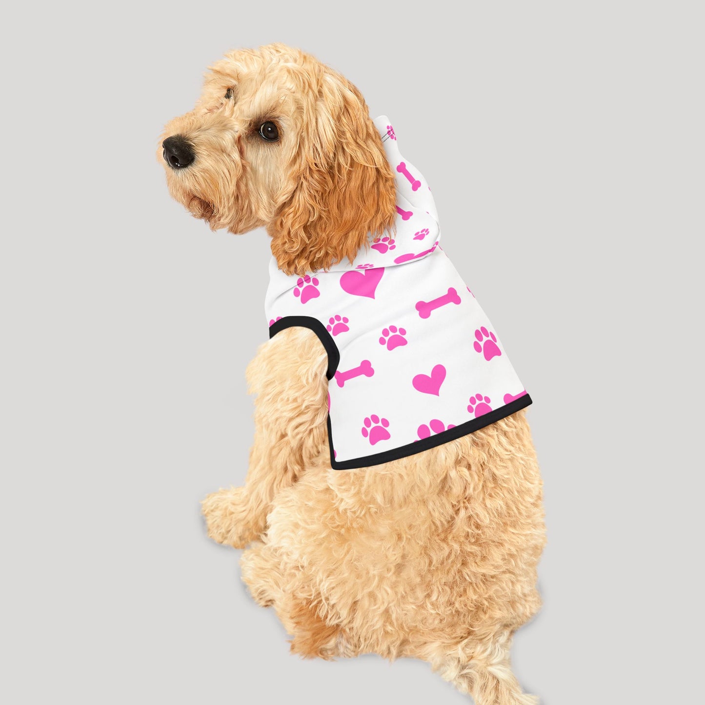 Pet Hoodie