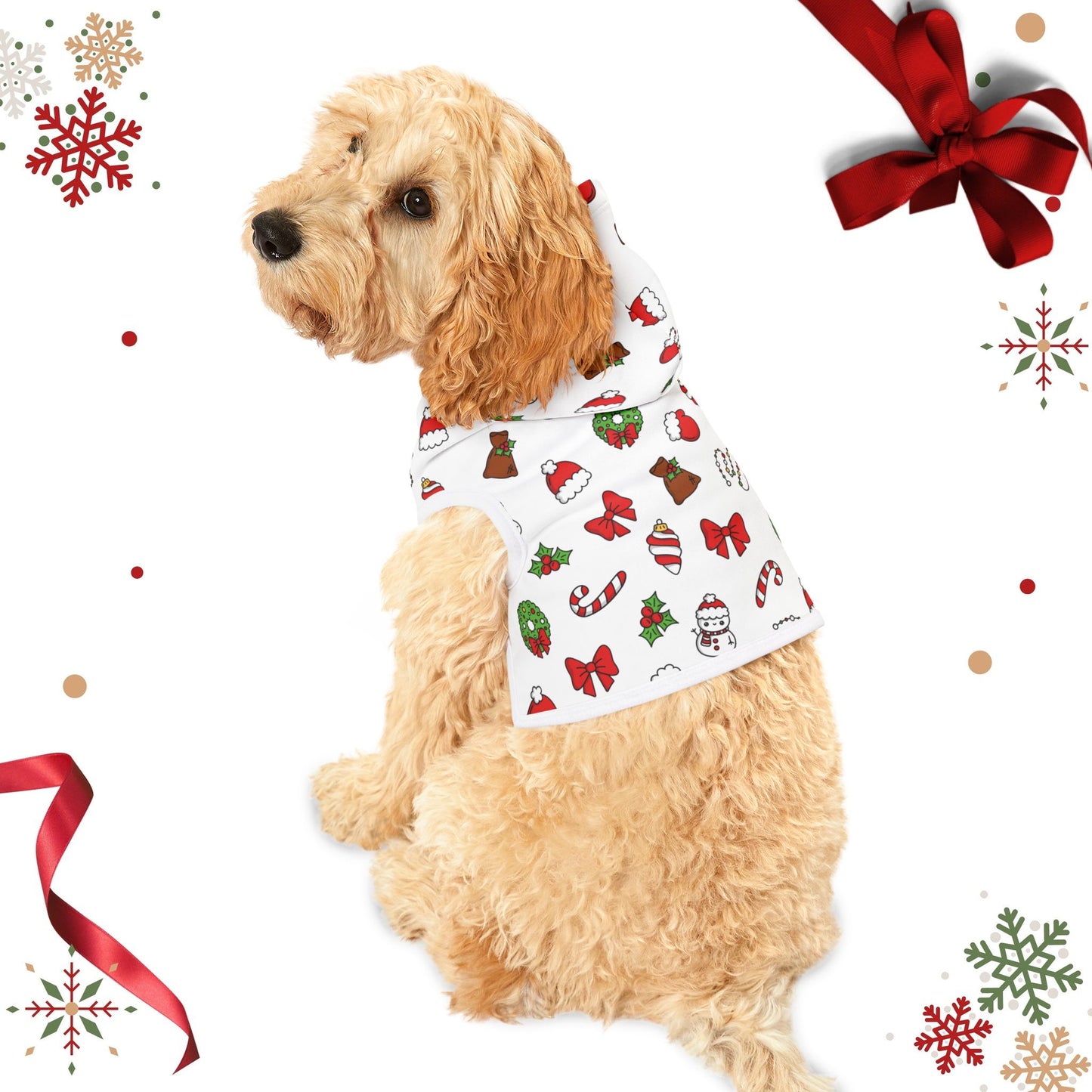 Merry Christmas Hoodie