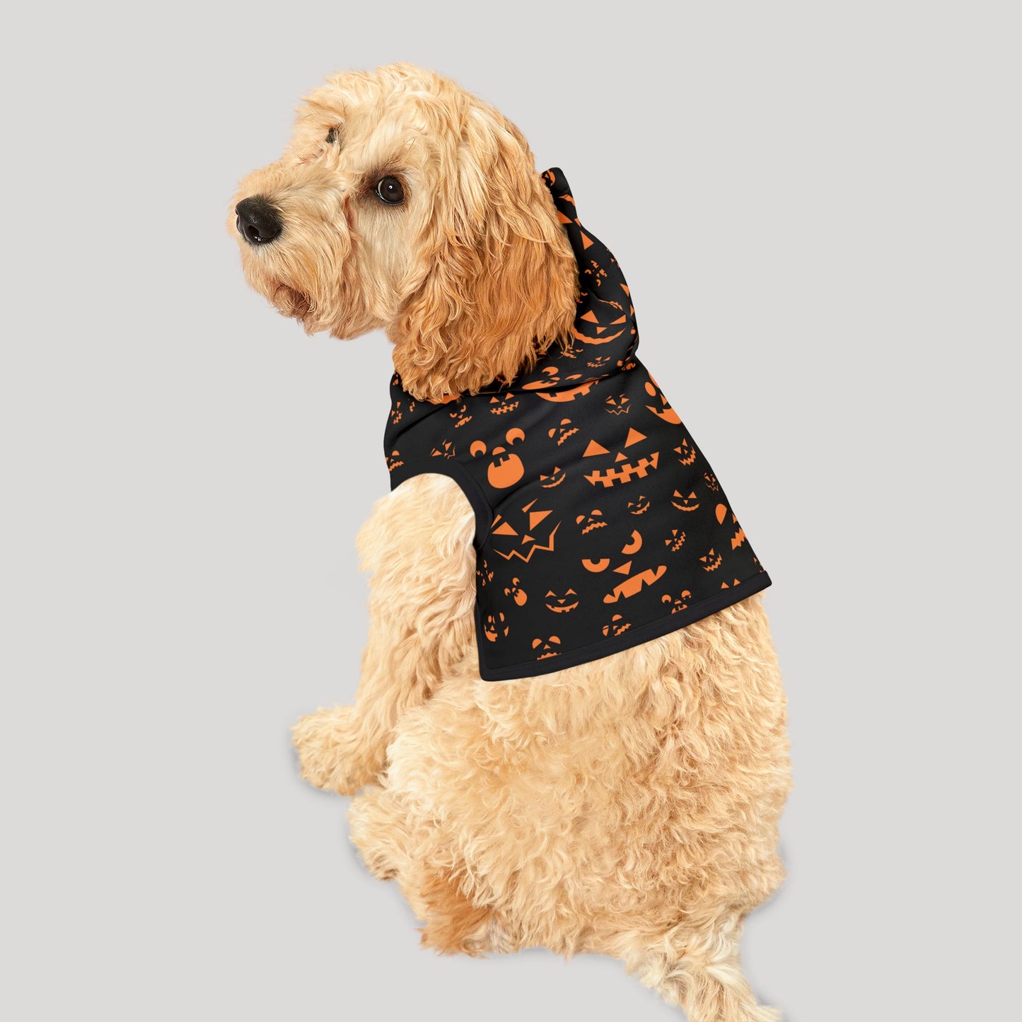 Halloween Pet Hoodie