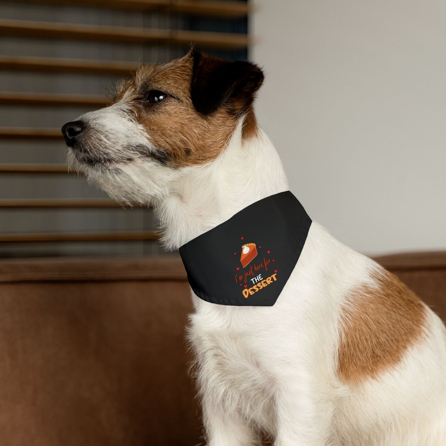 I'm Just Here For The Dessert Pet Bandana Collar