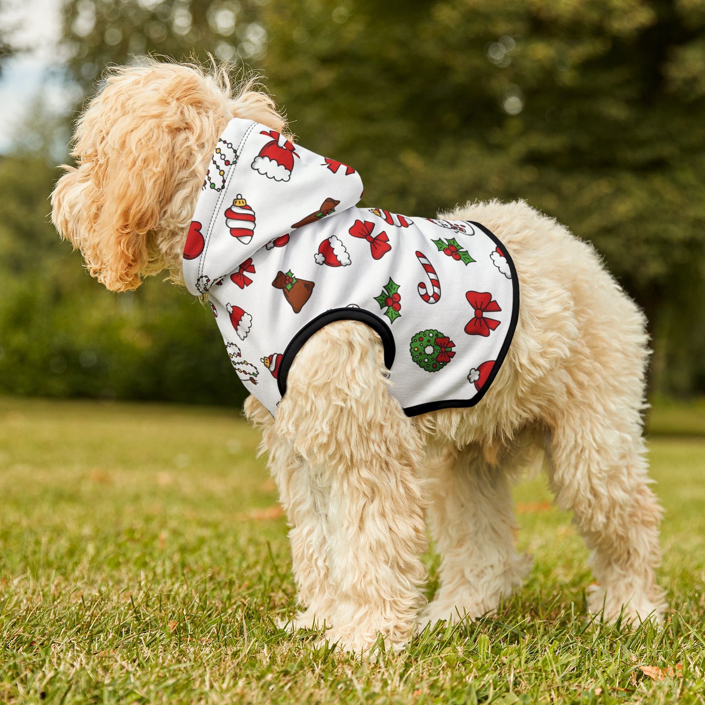 Merry Christmas Hoodie