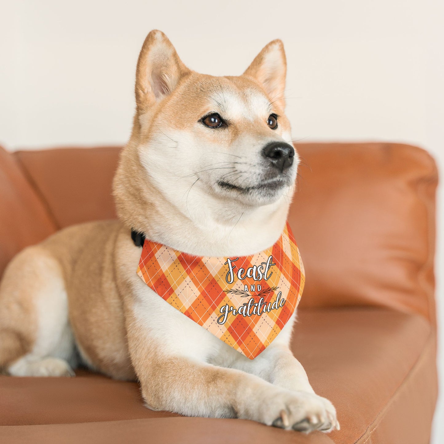 Feast and Gratitude Pet Bandana Collar