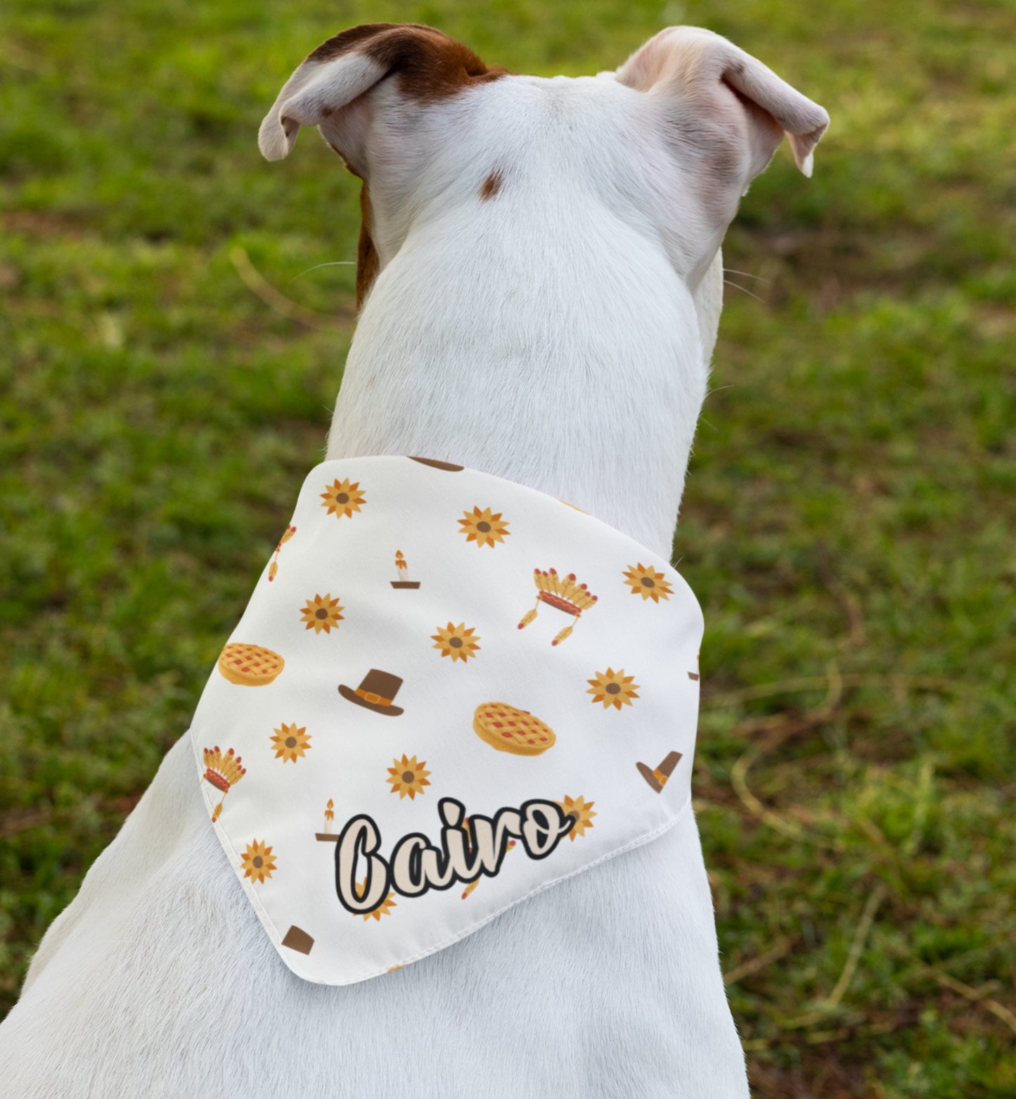 Personalized Name Thanksgiving Bandana Collar