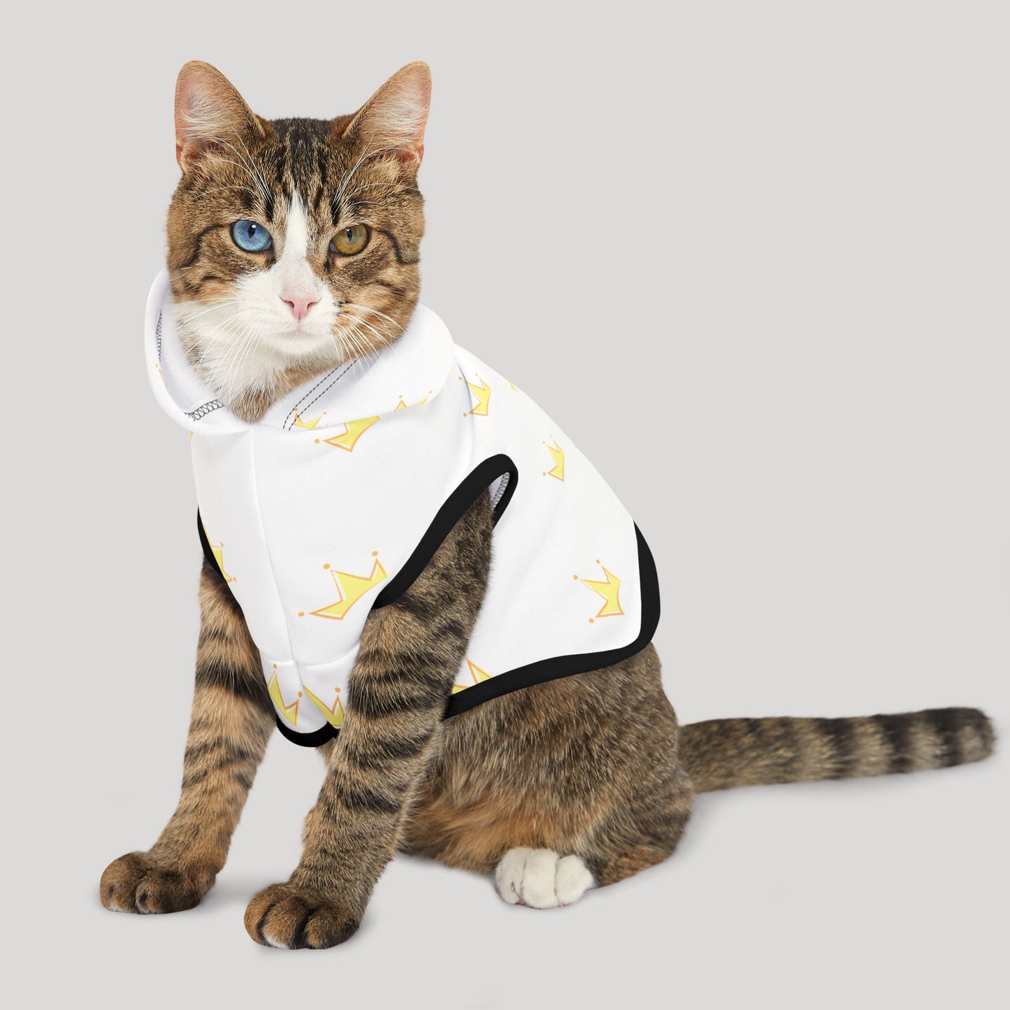 Pet Hoodie