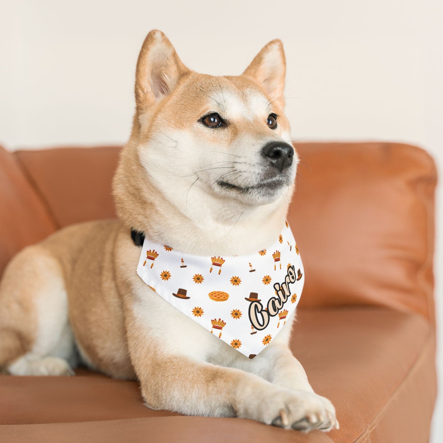 Personalized Name Thanksgiving Bandana Collar