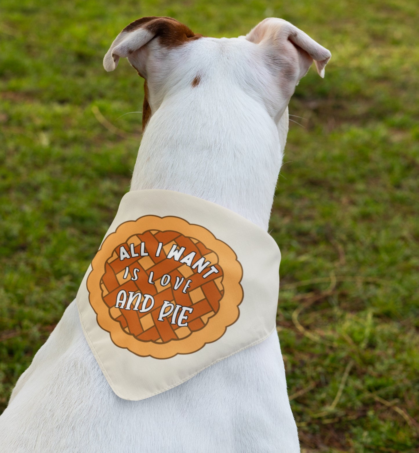 Love And Pie Bandana Collar