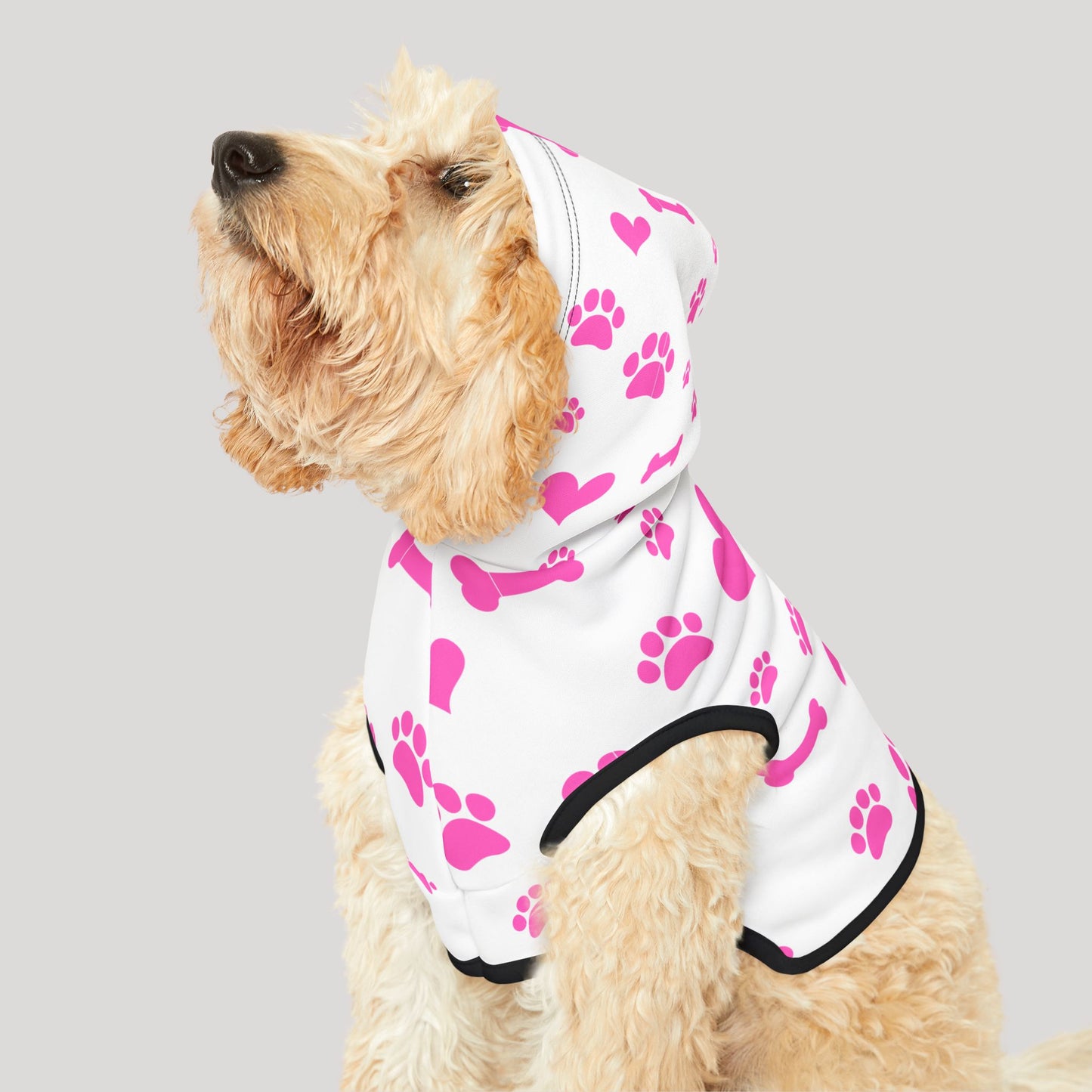 Pet Hoodie