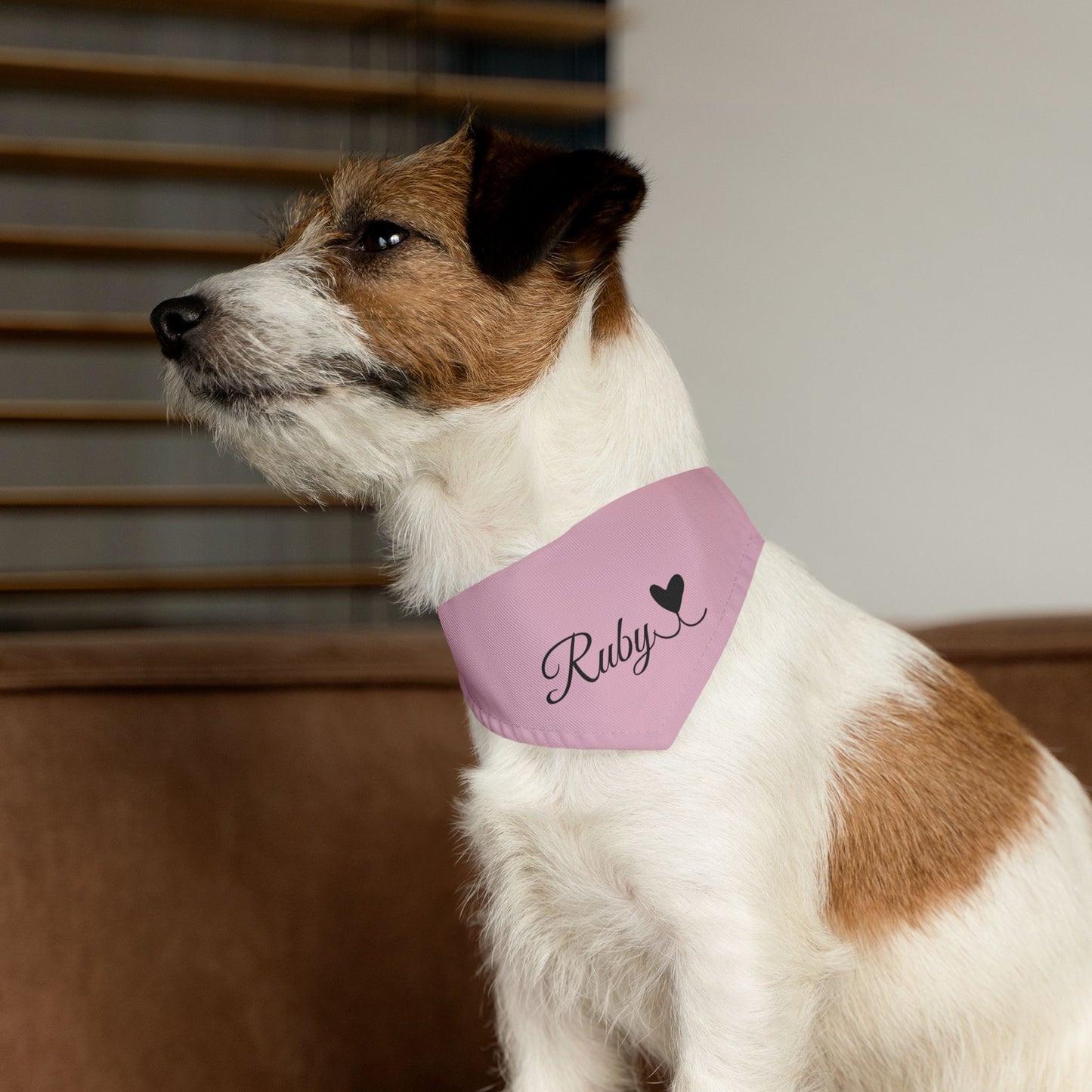 Pet Bandana Personalized