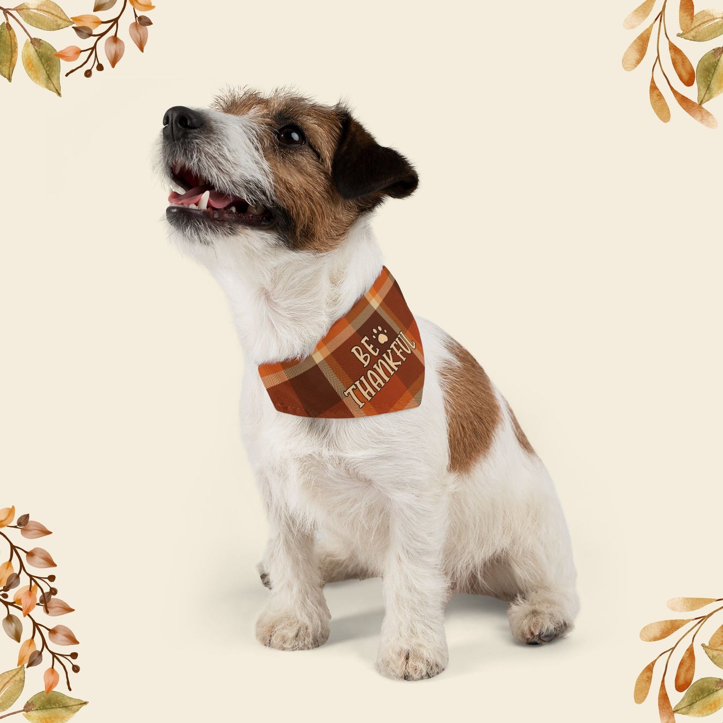 Thankful Bandana Collar