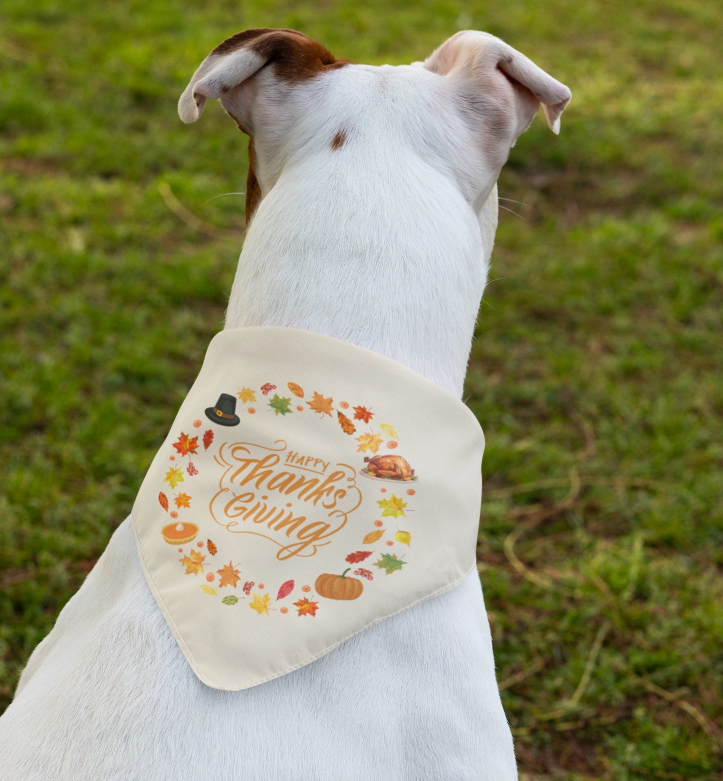 Happy Thanksgiving Bandana Collar