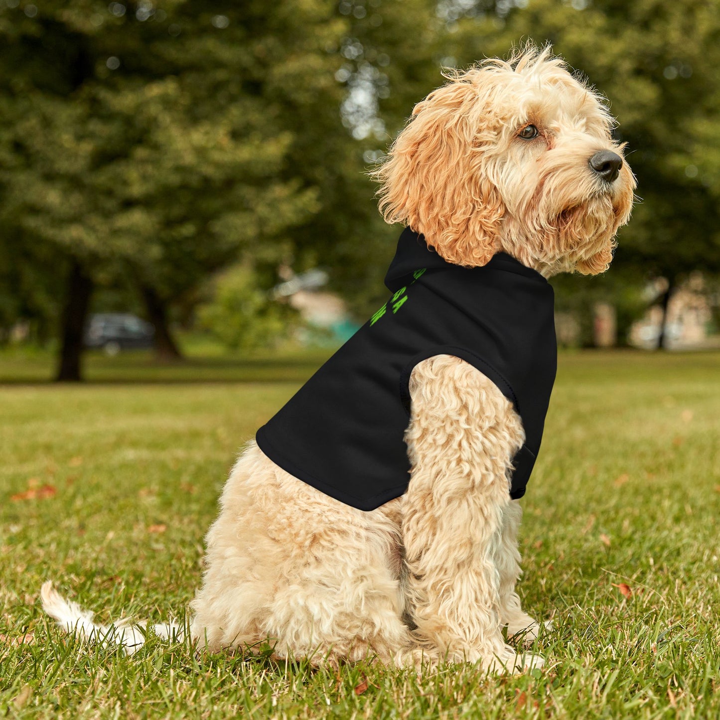 Skeleton Pet Hoodie