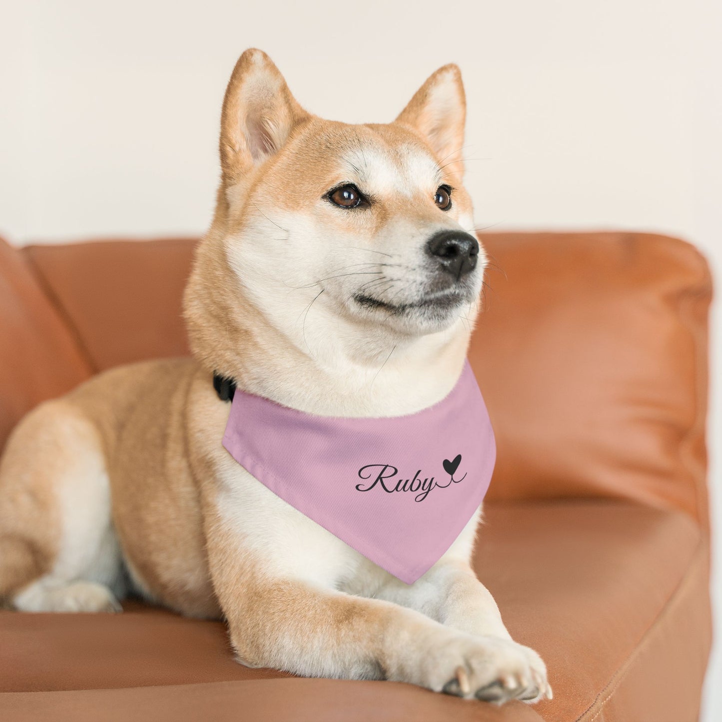 Pet Bandana Personalized